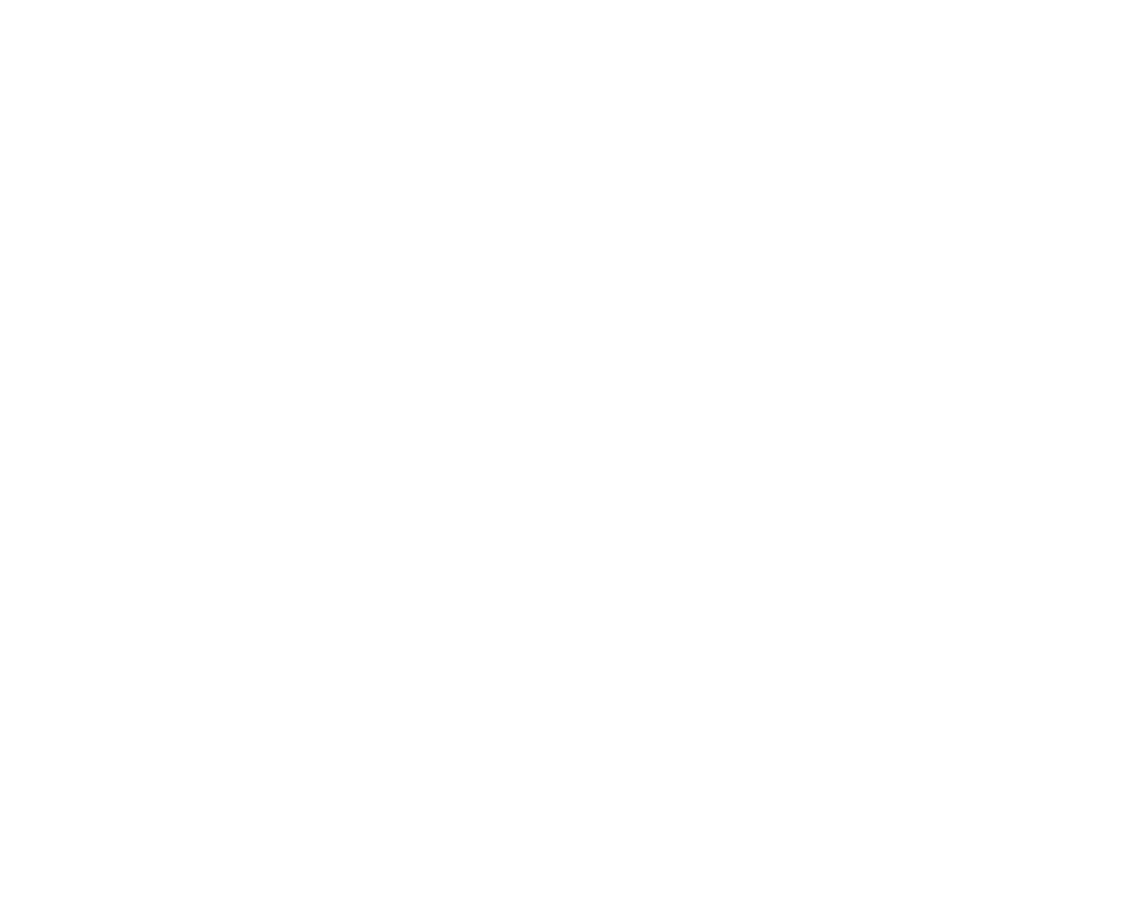 KMS Alpin Rennsporttechnik